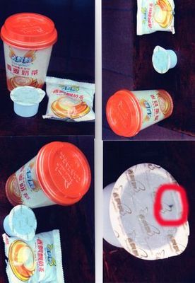 香飄飄奶茶又現死蒼蠅 廠家說有死蒼蠅(圖)-香飄飄,奶茶,蒼蠅-中安在線-主頁管理